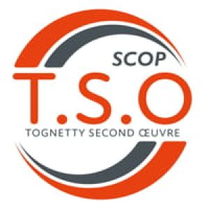 TSO logo